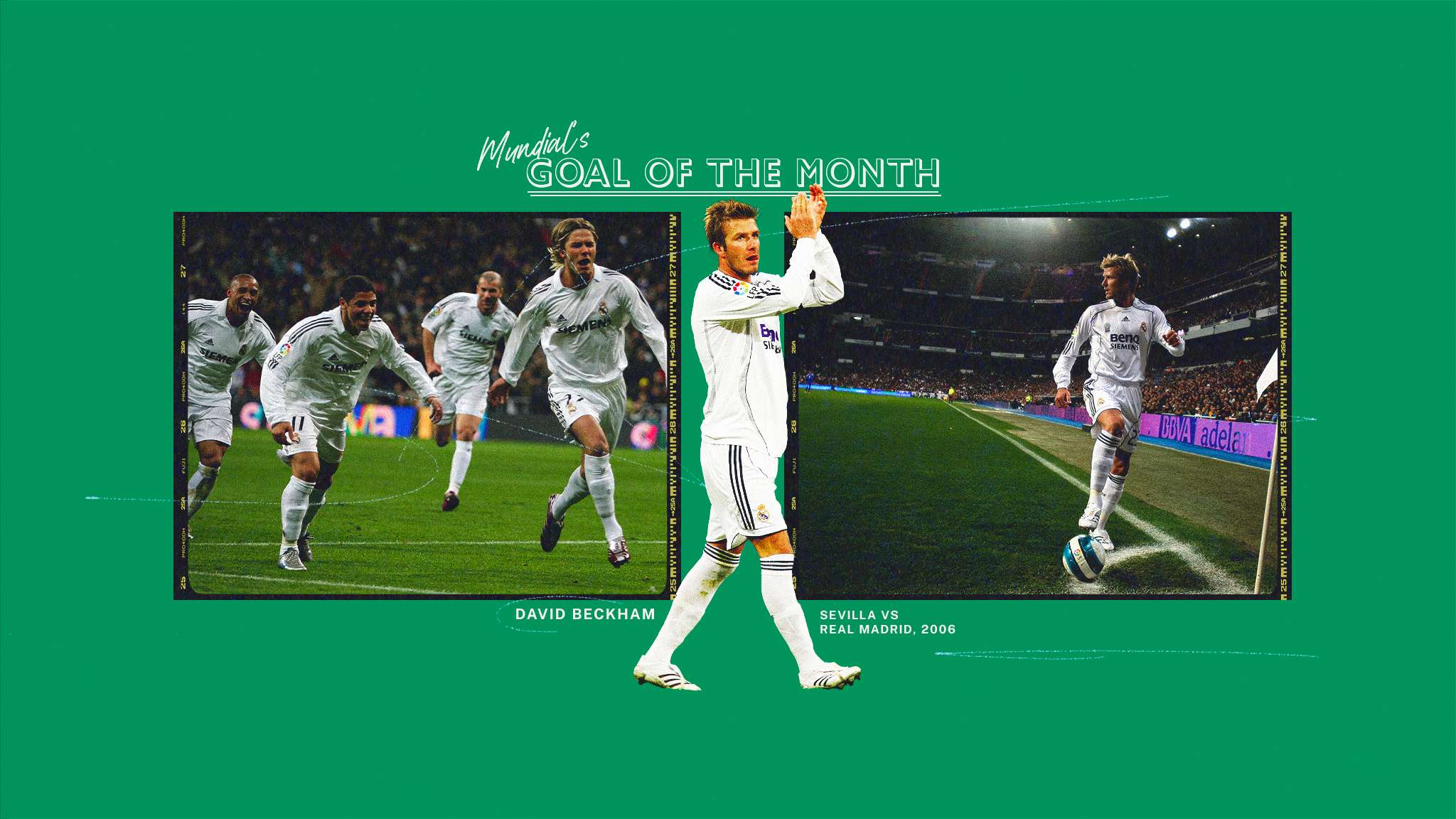 培养综合素 培养综合素