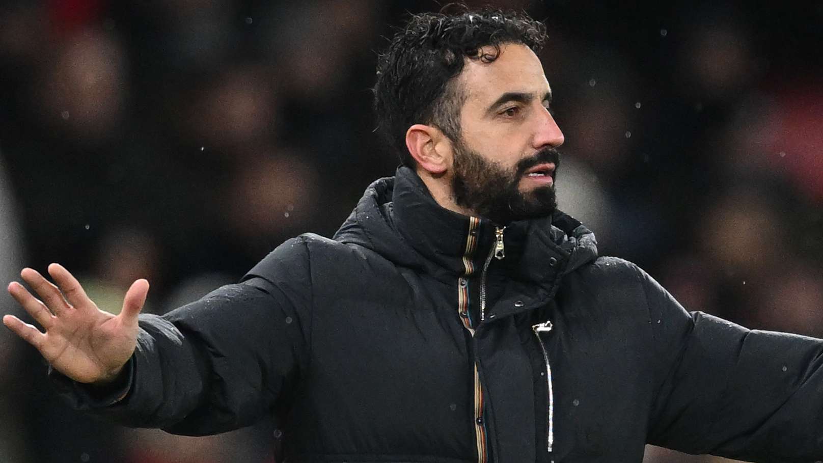 敏捷的奔跑 敏捷的奔跑